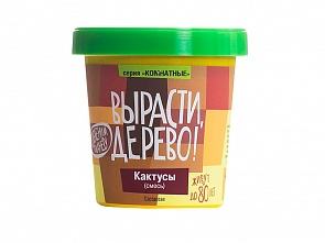 Набор для выращивания растений - Кактусы (Зеленый Капитал, zk-045)